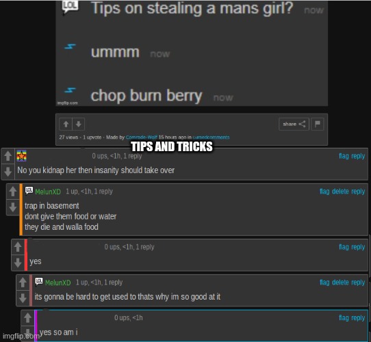 TIPS AND TRICKS | made w/ Imgflip meme maker
