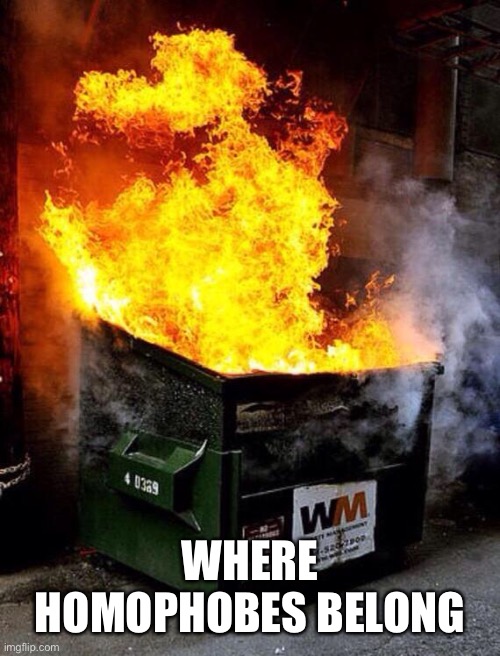 Dumpster Fire | WHERE HOMOPHOBES BELONG | image tagged in dumpster fire | made w/ Imgflip meme maker