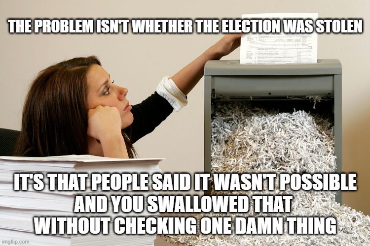 How Can It Be Legitimate If No One Has Been Allowed To Check? | THE PROBLEM ISN'T WHETHER THE ELECTION WAS STOLEN; IT'S THAT PEOPLE SAID IT WASN'T POSSIBLE
AND YOU SWALLOWED THAT 
WITHOUT CHECKING ONE DAMN THING | image tagged in bored shredder paper woman | made w/ Imgflip meme maker