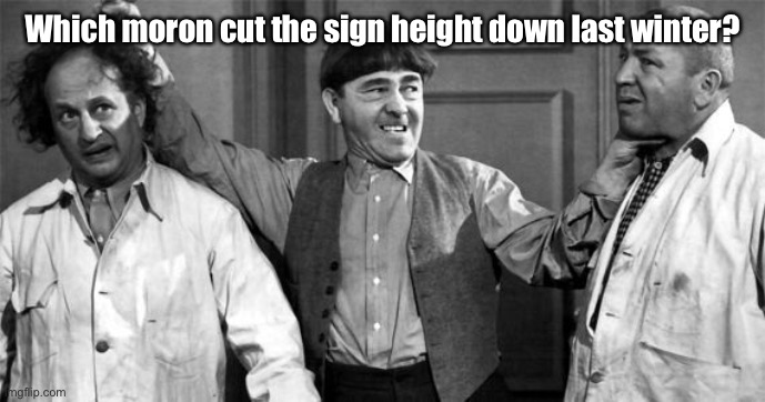 Three Stooges | Which moron cut the sign height down last winter? | image tagged in three stooges | made w/ Imgflip meme maker