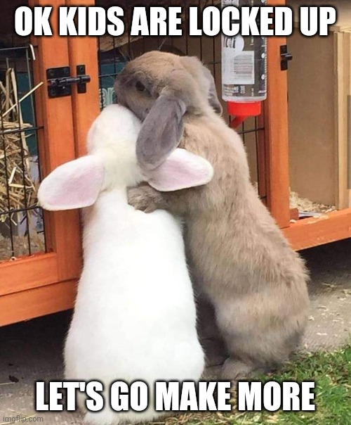 FILL THE CAGE | OK KIDS ARE LOCKED UP; LET'S GO MAKE MORE | image tagged in bunnies,rabbits,bunny | made w/ Imgflip meme maker