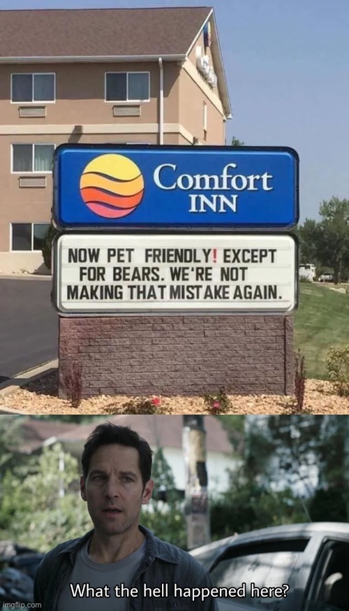 Weird sign week | image tagged in motel sign,pets,bears,what happened here,funny memes | made w/ Imgflip meme maker