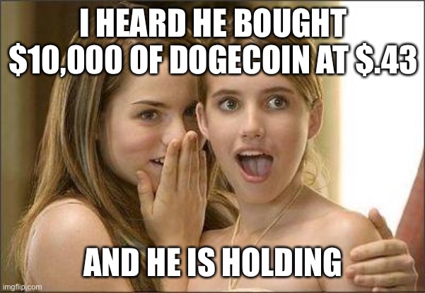 dogecoin | I HEARD HE BOUGHT $10,000 OF DOGECOIN AT $.43; AND HE IS HOLDING | image tagged in girls gossiping,dogecoin,stocks,money,rich | made w/ Imgflip meme maker