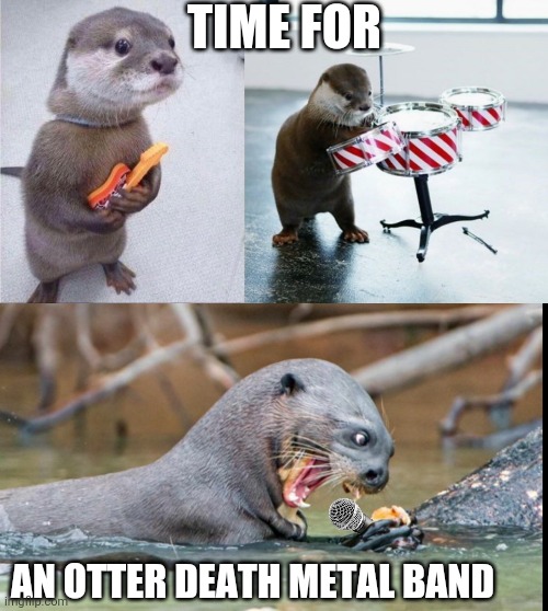 THE MUSIC WOULD BE OTTER THIS WORLD | TIME FOR; AN OTTER DEATH METAL BAND | image tagged in otter,metal,otters,heavy metal | made w/ Imgflip meme maker