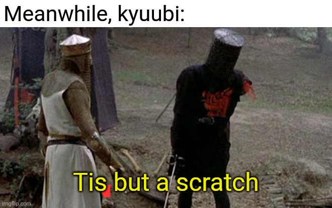 Tis but a scratch | Meanwhile, kyuubi: Tis but a scratch | image tagged in tis but a scratch | made w/ Imgflip meme maker