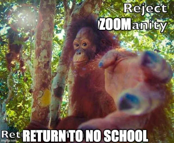 Return to monke | ZOOM RETURN TO NO SCHOOL | image tagged in return to monke | made w/ Imgflip meme maker