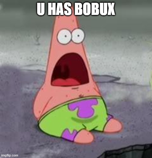 Suprised Patrick | U HAS BOBUX | image tagged in suprised patrick | made w/ Imgflip meme maker
