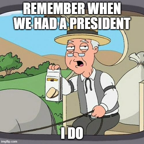 Even if Beez was bad, better one than none | REMEMBER WHEN WE HAD A PRESIDENT; I DO | image tagged in memes,pepperidge farm remembers,president | made w/ Imgflip meme maker