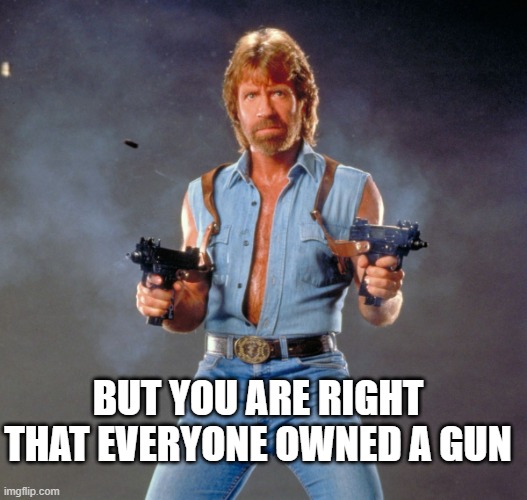 Chuck Norris Guns Meme | BUT YOU ARE RIGHT THAT EVERYONE OWNED A GUN | image tagged in memes,chuck norris guns,chuck norris | made w/ Imgflip meme maker