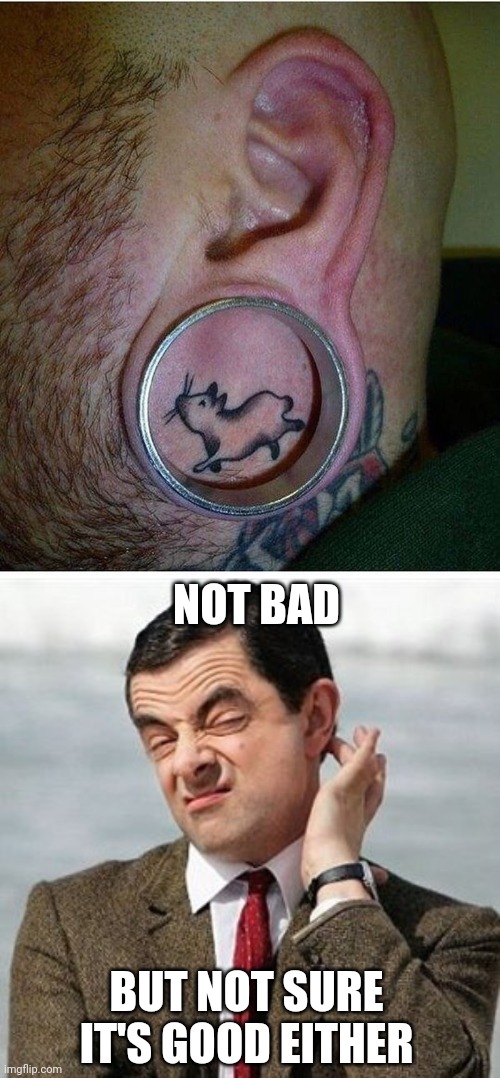 HAMSTER WHEEL | NOT BAD; BUT NOT SURE IT'S GOOD EITHER | image tagged in not sure,tattoos,tattoo | made w/ Imgflip meme maker
