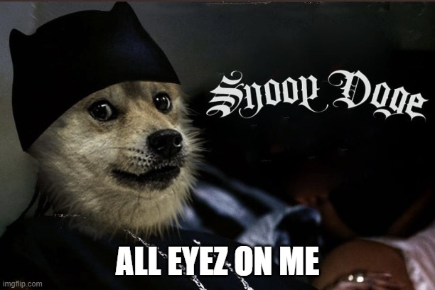 ALL EYEZ ON ME FT SNOOP DOGE | ALL EYEZ ON ME | image tagged in snoop dogg,dogecoin | made w/ Imgflip meme maker