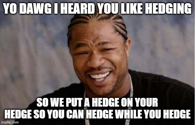 Yo Dawg Heard You Meme | YO DAWG I HEARD YOU LIKE HEDGING; SO WE PUT A HEDGE ON YOUR HEDGE SO YOU CAN HEDGE WHILE YOU HEDGE | image tagged in memes,yo dawg heard you | made w/ Imgflip meme maker