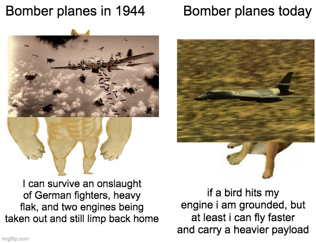 nobody: bombers | Bomber planes in 1944; Bomber planes today; I can survive an onslaught of German fighters, heavy flak, and two engines being taken out and still limp back home; if a bird hits my engine i am grounded, but at least i can fly faster and carry a heavier payload | image tagged in memes,buff doge vs cheems,bomber,ww2,iraq war | made w/ Imgflip meme maker