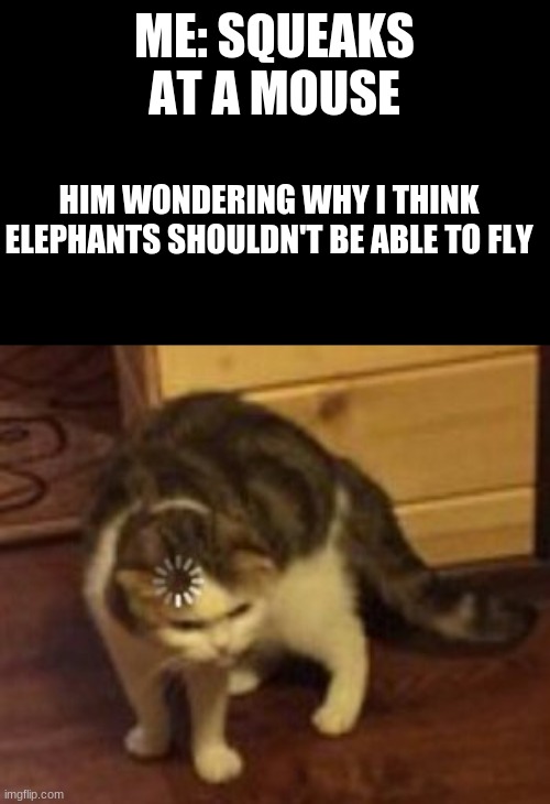Funy | ME: SQUEAKS AT A MOUSE; HIM WONDERING WHY I THINK ELEPHANTS SHOULDN'T BE ABLE TO FLY | image tagged in loading cat,funny | made w/ Imgflip meme maker