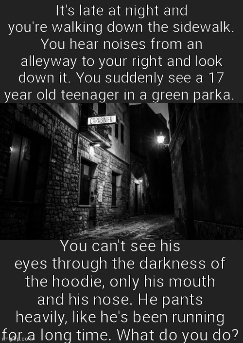 A mysterious stranger... | It's late at night and you're walking down the sidewalk. You hear noises from an alleyway to your right and look down it. You suddenly see a 17 year old teenager in a green parka. You can't see his eyes through the darkness of the hoodie, only his mouth and his nose. He pants heavily, like he's been running for a long time. What do you do? | image tagged in roleplaying,horror,scary | made w/ Imgflip meme maker
