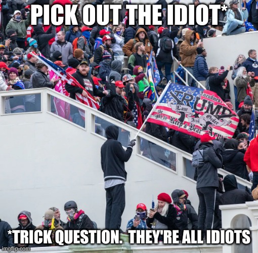 Pick out the idiot - Capitol Riot | PICK OUT THE IDIOT*; *TRICK QUESTION.  THEY'RE ALL IDIOTS | image tagged in capitol riot idiots insurrectionist trump,trump,capitol riot,insurrection,republicans,covid | made w/ Imgflip meme maker