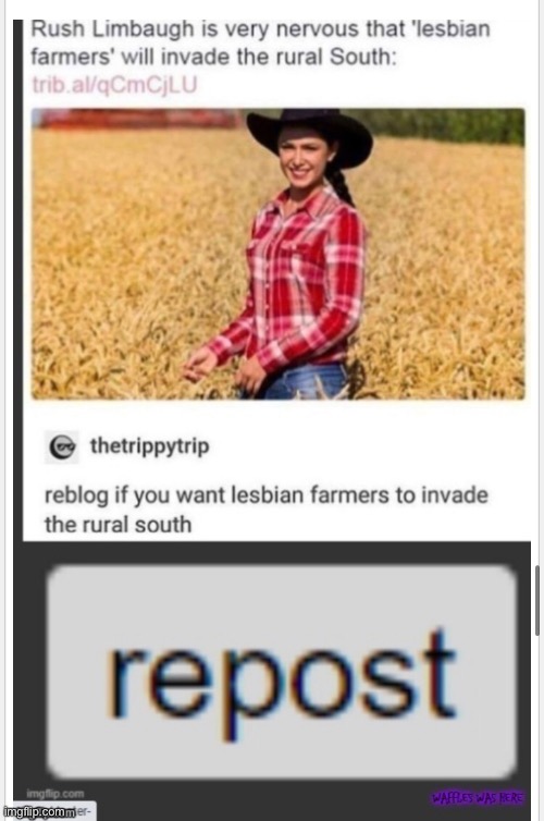 YASSS | made w/ Imgflip meme maker