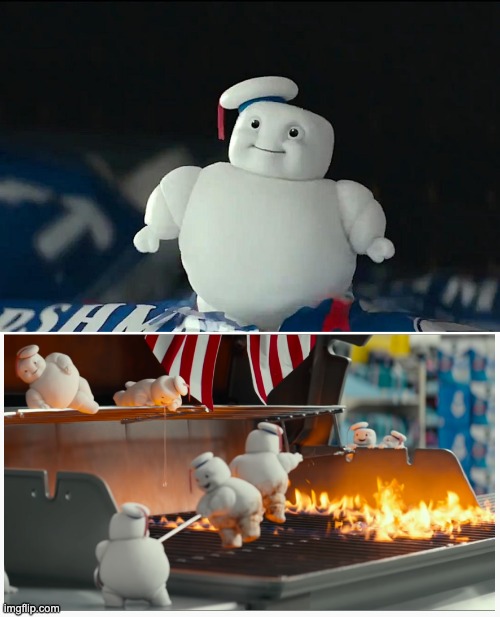 Ghostbusters | image tagged in this is fine | made w/ Imgflip meme maker