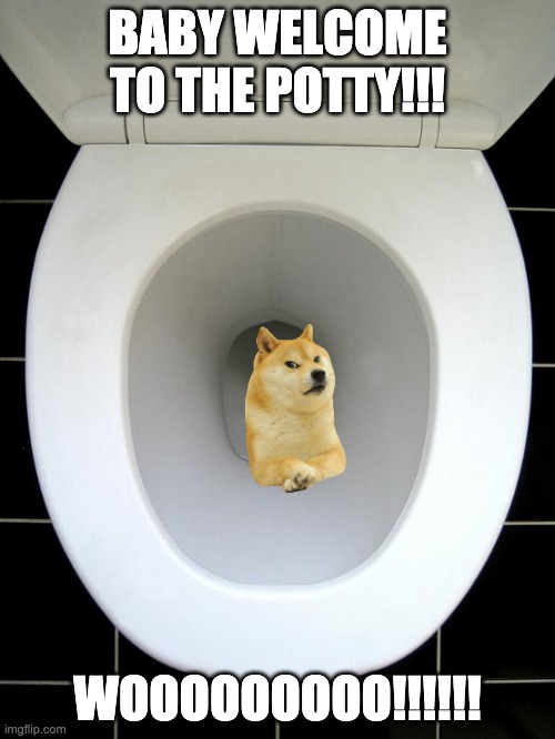 THE WOOOOOOOO | BABY WELCOME TO THE POTTY!!! WOOOOOOOOO!!!!!! | image tagged in toilet | made w/ Imgflip meme maker