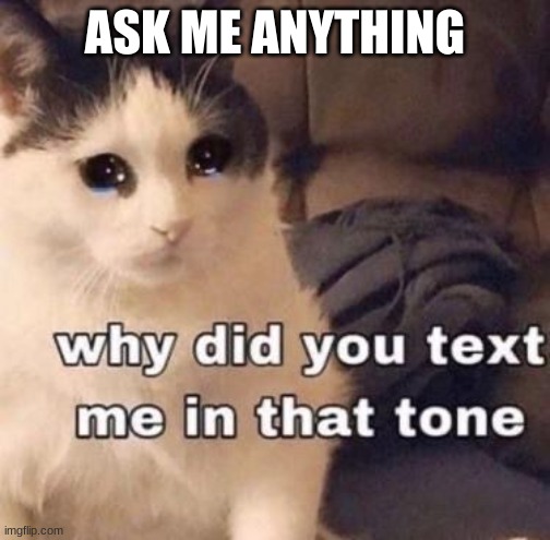 *isnt expecting anyone to actually ask smt* | ASK ME ANYTHING | image tagged in why did you text me in that tone | made w/ Imgflip meme maker