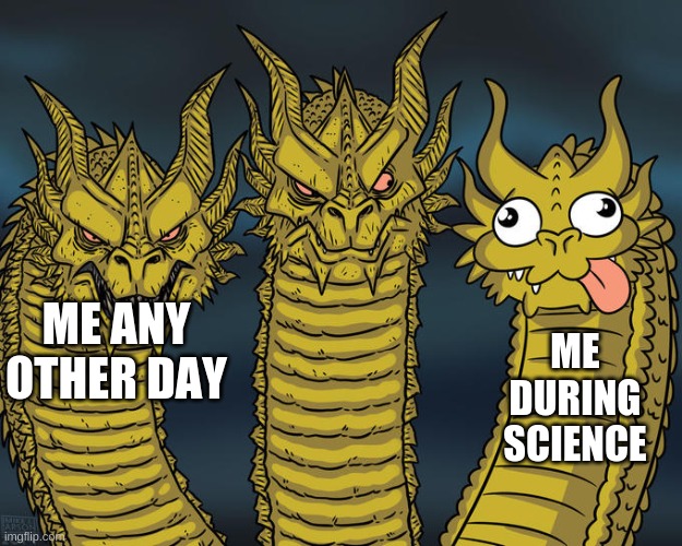 My science teacher is epik | ME ANY OTHER DAY; ME DURING SCIENCE | image tagged in three-headed dragon | made w/ Imgflip meme maker