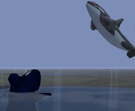 Crippled orca and high orca Blank Meme Template