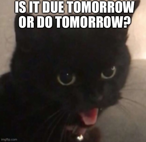 Tomorrow | IS IT DUE TOMORROW OR DO TOMORROW? | image tagged in tomorrow,homework,do it | made w/ Imgflip meme maker