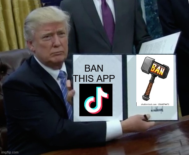 lets be real we wanted this app gone right IMGFLIP Community and lets goo trump | BAN THIS APP | image tagged in memes,trump bill signing | made w/ Imgflip meme maker