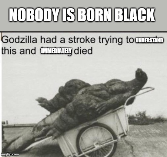 Godzilla had a stroke trying to read this and fricking died | UNDERSTAND NOBODY IS BORN BLACK IMMEDIATELY | image tagged in godzilla had a stroke trying to read this and fricking died | made w/ Imgflip meme maker