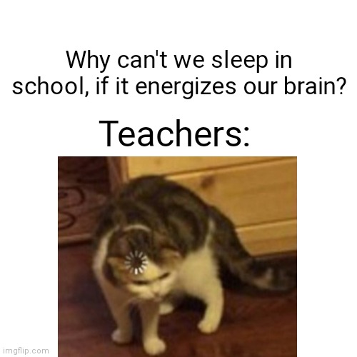 Um... | Why can't we sleep in school, if it energizes our brain? Teachers: | image tagged in confused cat | made w/ Imgflip meme maker
