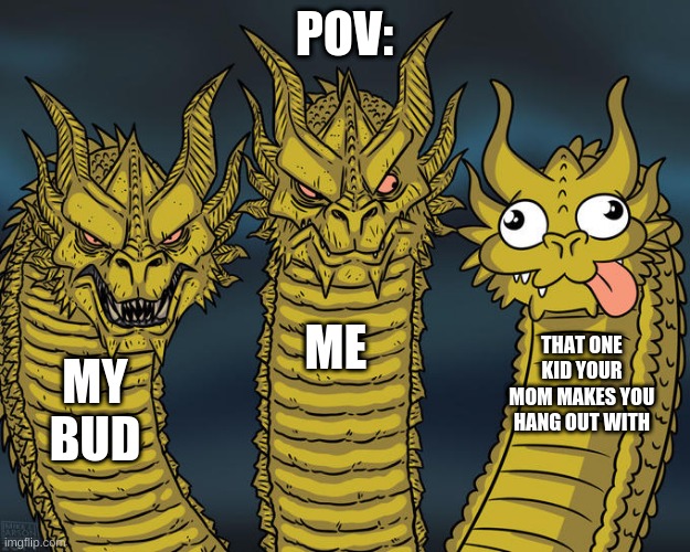 that one kid tho | POV:; ME; THAT ONE KID YOUR MOM MAKES YOU HANG OUT WITH; MY BUD | image tagged in three-headed dragon,memes,funny memes,lol,lol so funny,hahaha | made w/ Imgflip meme maker
