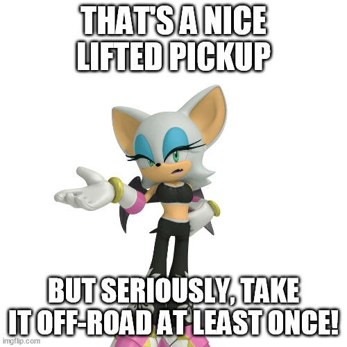 Like, why are you wasting all that fuel? | THAT'S A NICE LIFTED PICKUP; BUT SERIOUSLY, TAKE IT OFF-ROAD AT LEAST ONCE! | image tagged in annoyed rouge the bat | made w/ Imgflip meme maker