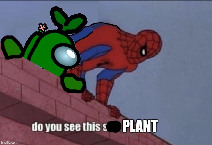 Spider-Man Do You See this | PLANT | image tagged in spider-man do you see this | made w/ Imgflip meme maker