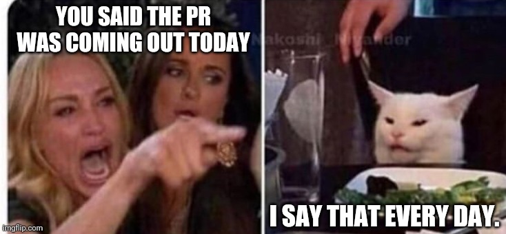 Cat at table | YOU SAID THE PR WAS COMING OUT TODAY; I SAY THAT EVERY DAY. | image tagged in cat at table | made w/ Imgflip meme maker