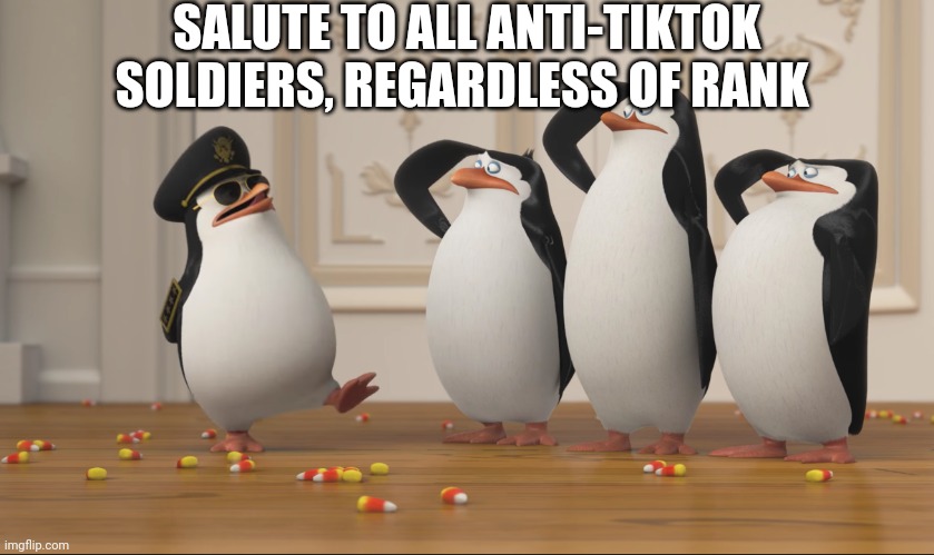 And Remember, Tik Tok Deserves To Be Banned From Existing Forever!!!! | SALUTE TO ALL ANTI-TIKTOK SOLDIERS, REGARDLESS OF RANK | image tagged in saluting skipper | made w/ Imgflip meme maker