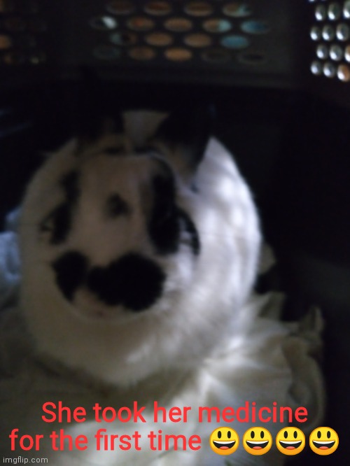 Why am I so happy that she didn't hurt anyone | She took her medicine for the first time 😃😃😃😃 | image tagged in e | made w/ Imgflip meme maker