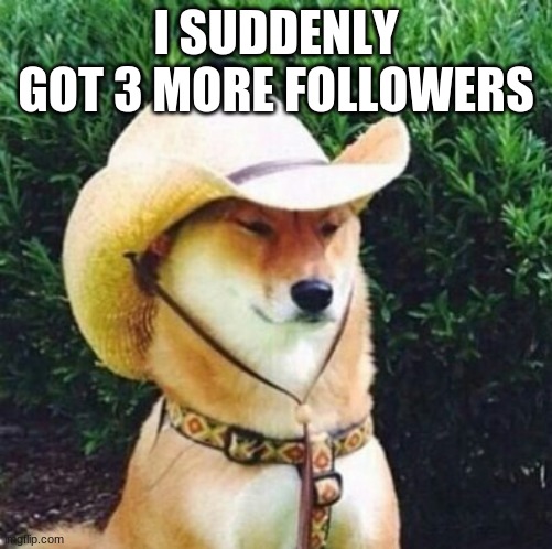 Wot in Tarnation Dog | I SUDDENLY GOT 3 MORE FOLLOWERS | image tagged in wot in tarnation dog | made w/ Imgflip meme maker