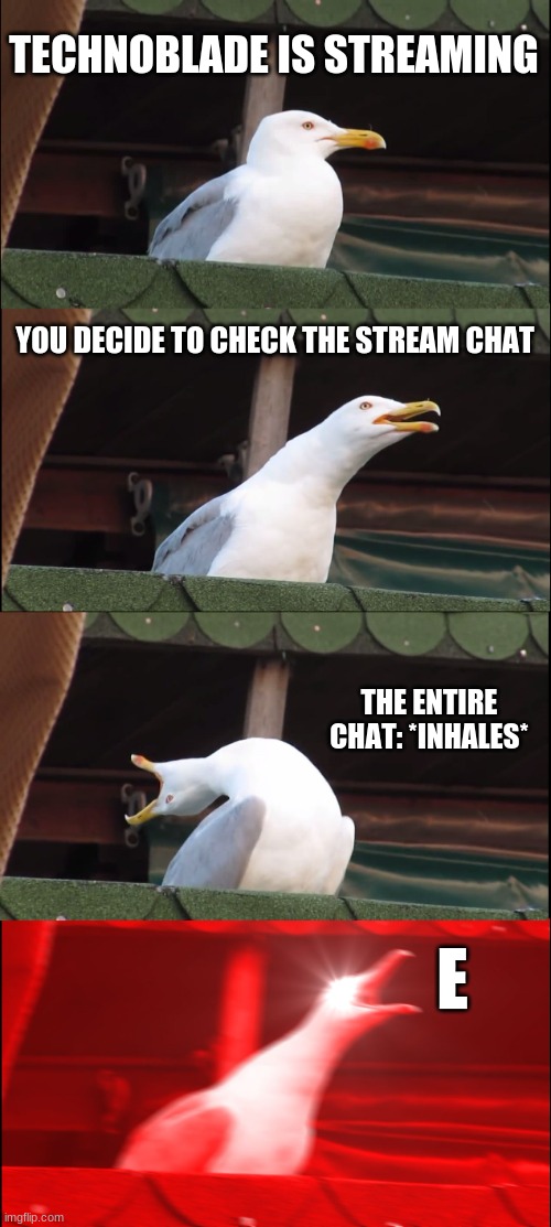Every single time | TECHNOBLADE IS STREAMING; YOU DECIDE TO CHECK THE STREAM CHAT; THE ENTIRE CHAT: *INHALES*; E | image tagged in memes,inhaling seagull,technoblade,funny | made w/ Imgflip meme maker