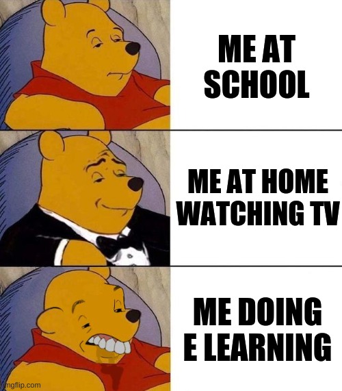 what i feel like | ME AT SCHOOL; ME AT HOME WATCHING TV; ME DOING E LEARNING | image tagged in best better blurst,tuxedo winnie the pooh,winnie the pooh | made w/ Imgflip meme maker