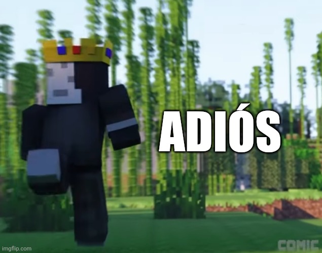 Adiós Ranboo | ADIÓS | image tagged in memes | made w/ Imgflip meme maker
