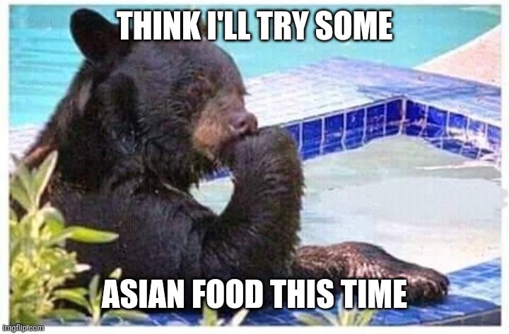 Thinking bear | THINK I'LL TRY SOME ASIAN FOOD THIS TIME | image tagged in thinking bear | made w/ Imgflip meme maker