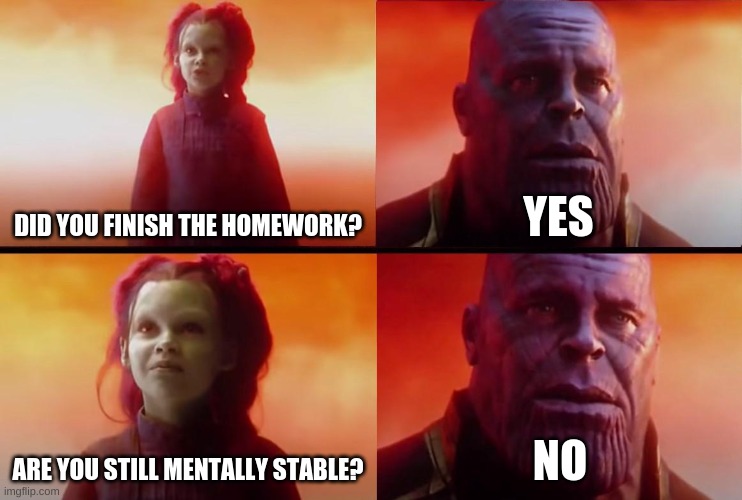 ? | DID YOU FINISH THE HOMEWORK? YES; ARE YOU STILL MENTALLY STABLE? NO | image tagged in thanos what did it cost | made w/ Imgflip meme maker