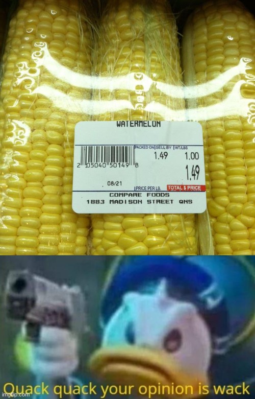 Its a corn | image tagged in quack quack your opinion is wack,corn,not a watermellon | made w/ Imgflip meme maker