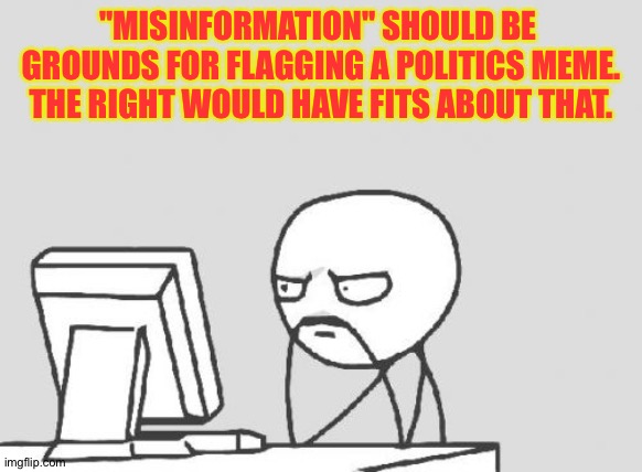 Truthiness isn't their thing. | "MISINFORMATION" SHOULD BE 
GROUNDS FOR FLAGGING A POLITICS MEME.
THE RIGHT WOULD HAVE FITS ABOUT THAT. | image tagged in memes,computer guy | made w/ Imgflip meme maker