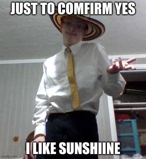 JUST TO COMFIRM YES; I LIKE SUNSHIINE | image tagged in eh | made w/ Imgflip meme maker