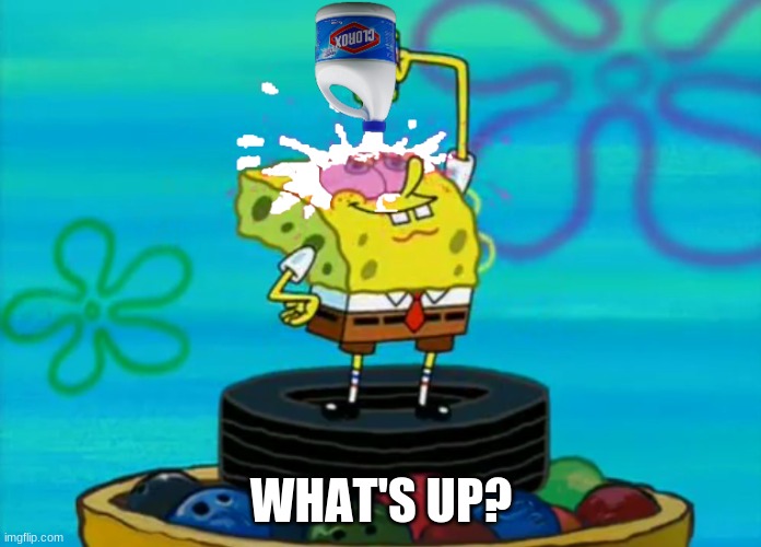 SpongeBob pouring bleach | WHAT'S UP? | image tagged in spongebob pouring bleach | made w/ Imgflip meme maker