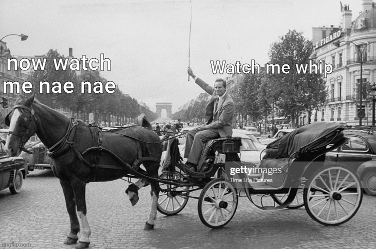 now watch me nae nae; Watch me whip | image tagged in horse | made w/ Imgflip meme maker