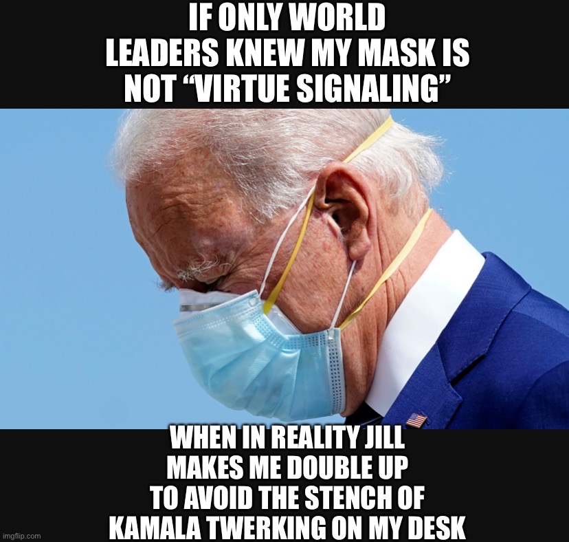 I Take Responsibility | IF ONLY WORLD LEADERS KNEW MY MASK IS NOT “VIRTUE SIGNALING”; WHEN IN REALITY JILL MAKES ME DOUBLE UP TO AVOID THE STENCH OF KAMALA TWERKING ON MY DESK | image tagged in memes,joe biden,face mask,camel toe,black,pandemic | made w/ Imgflip meme maker