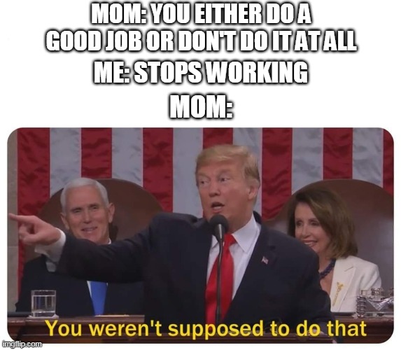 ... | MOM: YOU EITHER DO A GOOD JOB OR DON'T DO IT AT ALL; ME: STOPS WORKING; MOM: | image tagged in you weren't supposed to do that | made w/ Imgflip meme maker