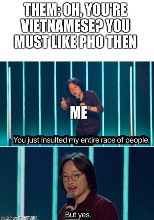 THEM: OH, YOU'RE VIETNAMESE? YOU MUST LIKE PHO THEN; ME | image tagged in blank white template,you just insulted my entire race but yes | made w/ Imgflip meme maker